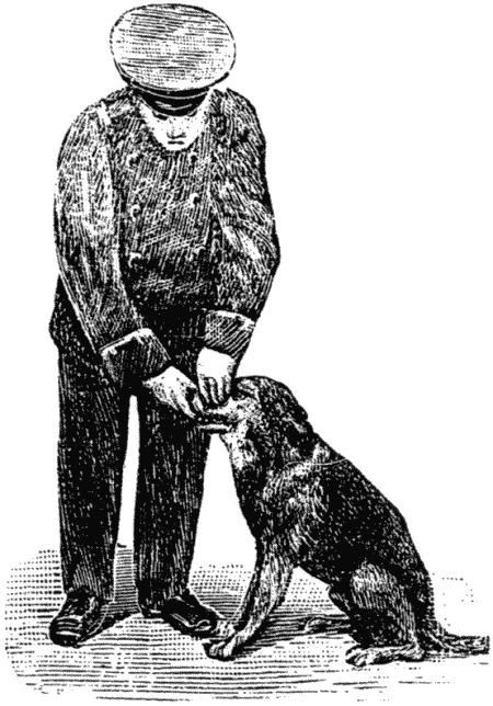 Дрессировка полицейских собак - i_021.png