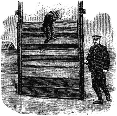 Дрессировка полицейских собак - i_023.png