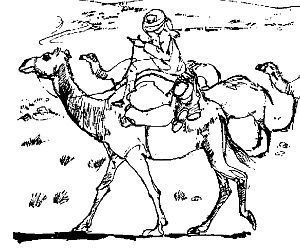 Арабские страны: обычаи и этикет - i_002.jpg
