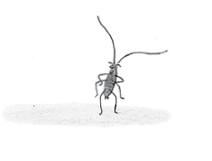 Сказки. От двух до пяти. Живой как жизнь - i_021.png
