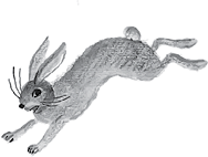 Сказки. От двух до пяти. Живой как жизнь - i_029.png