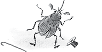 Сказки Корнея Чуковского в картинках В. Сутеева - i_013.png