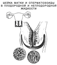 Желанный ребенок - i_011.png