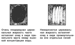 Желанный ребенок - i_013.png