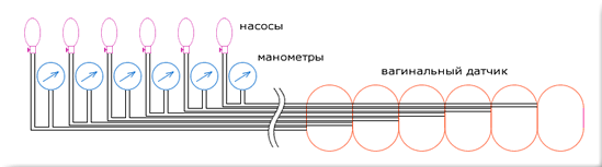 Развитие забытых мышц - i_003.png