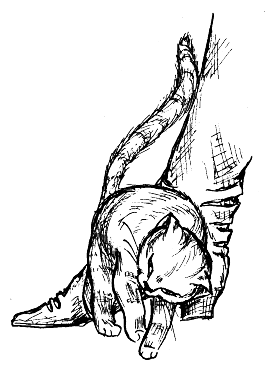 Леди удачи. Все пути… - i_052.png