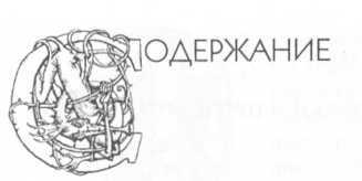 Энциклопедия: Волшебные существа - _1.jpg