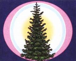 Юный техник, 2010 № 12 - _45.jpg