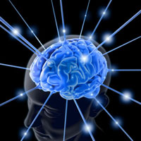 Абсолютный настрой на успех! - brains.jpg