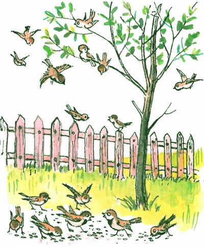 Про девочку, которая плохо кушала (рис. Сутеева) - i_008.jpg