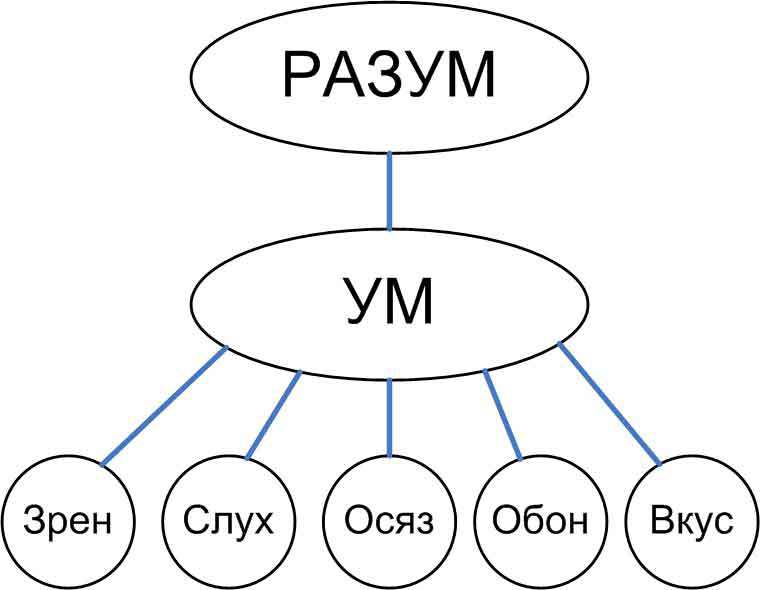 Анатомия ложного эго - _3.jpg