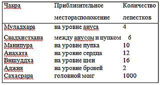 Нади-Виджняна. Внутренняя работа в йогических практиках - _04.jpg