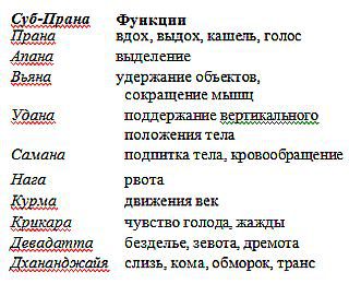 Нади-Виджняна. Внутренняя работа в йогических практиках - _08.jpg