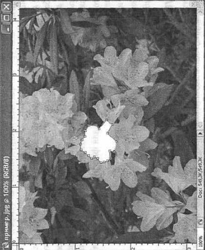 Photoshop CS2 и цифровая фотография (Самоучитель). Главы 10-14 - ris_10_4.jpg