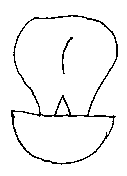 Детский эротический фольклор - gribDEF1.png
