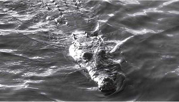 Хочу жить на Западе! О мифах и рифах заграничной жизни (СИ) - i_020.jpg