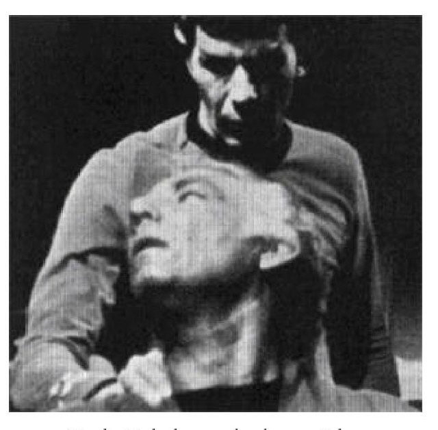 Я — Спок (СИ) - i19-leonard_nimoy_i_am_spock-21.jpg