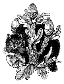 Русские народные сказки (Сост. В. П. Аникин) - i_004.png