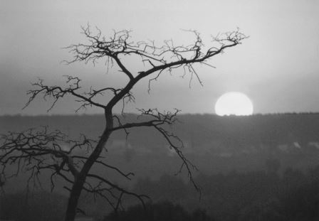 Надежда - _34.jpg