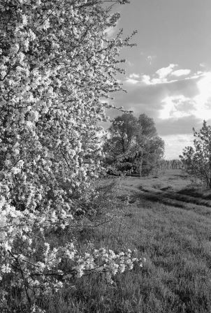 Надежда - _37.jpg