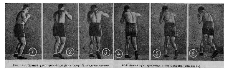 Бокс - _29.jpg