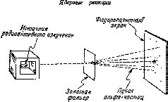 Краткая история химии. Развитие идей и представлений в химии - pic_30.jpg