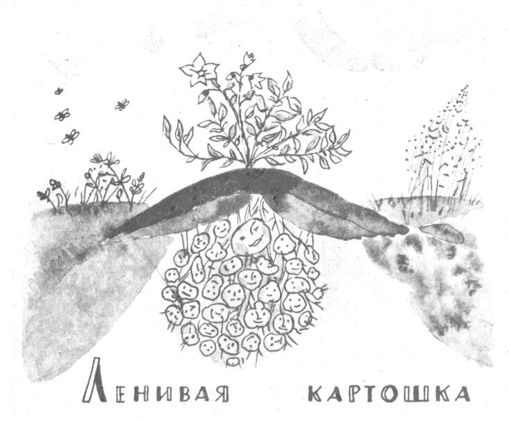 Совсем новые сказки - i_036.jpg