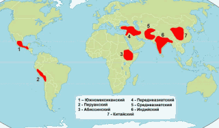 Обитаемый остров Земля - i_176.png