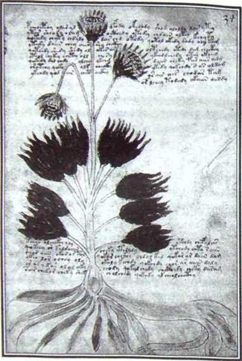 Великие тайны и загадки истории - image66.jpg