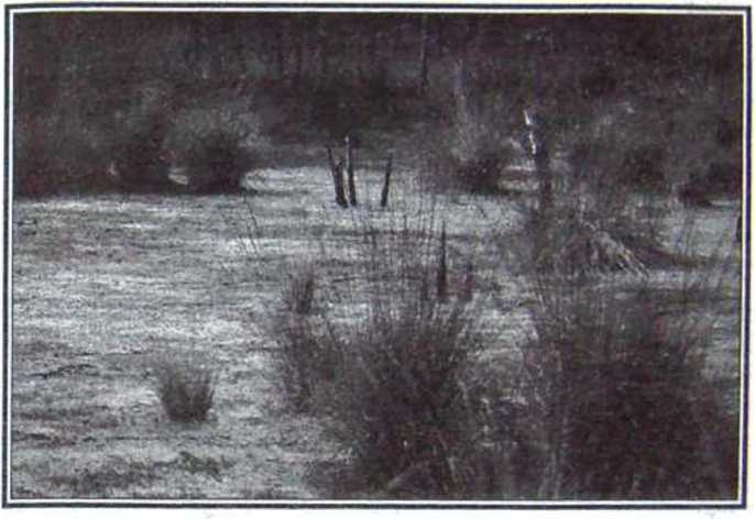 Великие тайны и загадки истории - image67.jpg