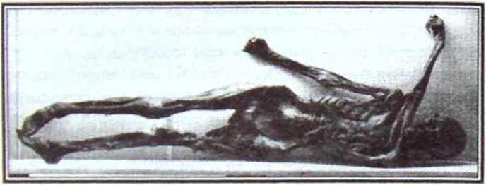 Великие тайны и загадки истории - image74.jpg