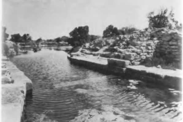 Повседневная жизнь римского патриция в эпоху разрушения Карфагена - i_022.jpg