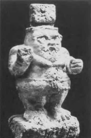 Повседневная жизнь римского патриция в эпоху разрушения Карфагена - i_023.jpg