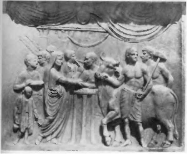 Повседневная жизнь римского патриция в эпоху разрушения Карфагена - i_028.jpg