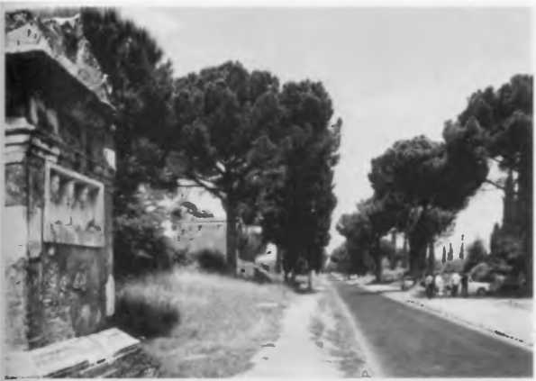 Повседневная жизнь римского патриция в эпоху разрушения Карфагена - i_031.jpg