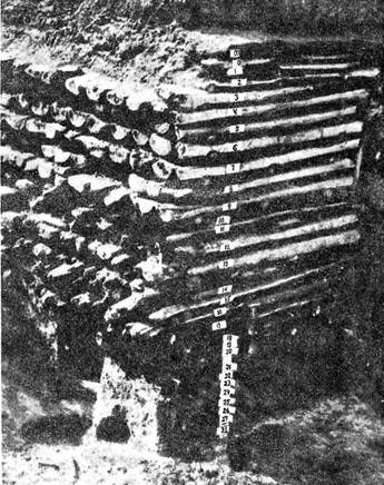 Берестяная почта столетий - pic_2.jpg