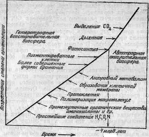 Возникновение и развитие жизни на Земле - i_012.jpg