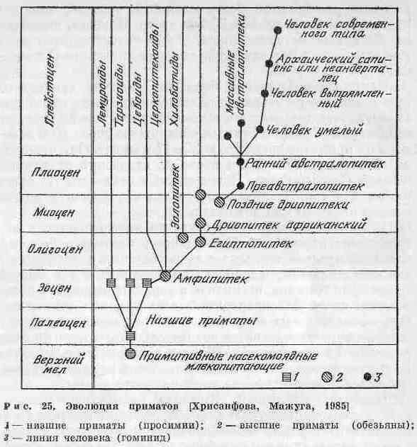 Возникновение и развитие жизни на Земле - i_040.jpg
