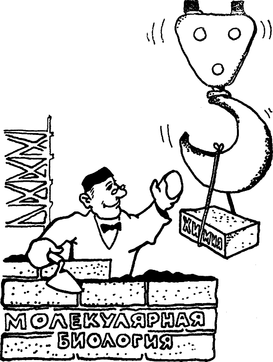 Беседы о жизни - i_002.png