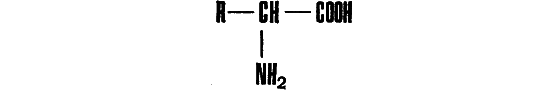 Беседы о жизни - i_011.png