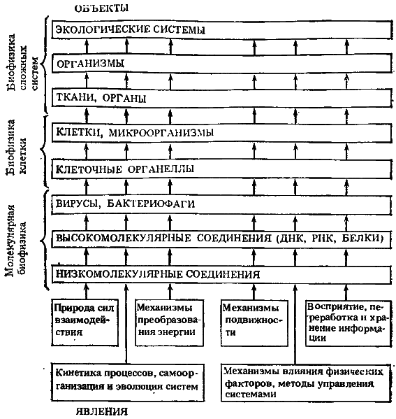 Биофизика познает рак - i_001.png