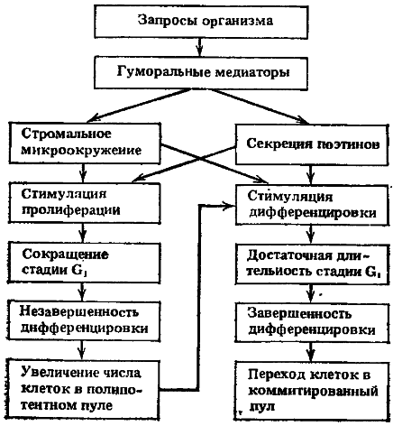 Биофизика познает рак - i_005.png