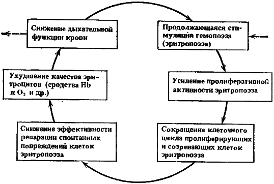 Биофизика познает рак - i_012.png