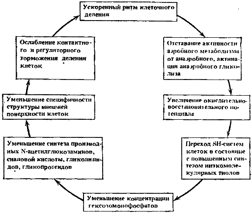 Биофизика познает рак - i_016.png