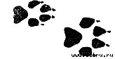 Дикие земли - wilderness10.jpg