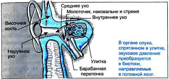 ...И мир загадочный за занавесом цифр. Цифровая связь - _65.jpg