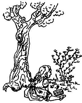 Алиса в стране Смекалки - pic_41.png