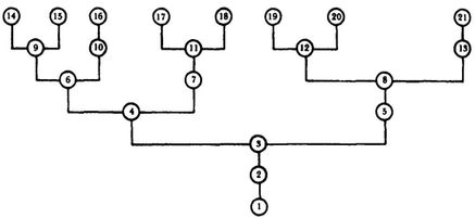 ГЕДЕЛЬ, ЭШЕР, БАХ: эта бесконечная гирлянда - i_035.jpg