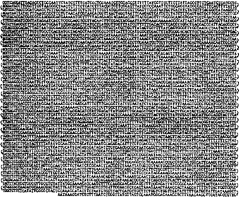 ГЕДЕЛЬ, ЭШЕР, БАХ: эта бесконечная гирлянда - i_057.png