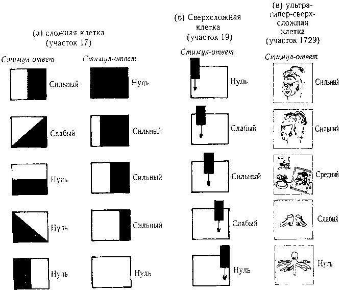 ГЕДЕЛЬ, ЭШЕР, БАХ: эта бесконечная гирлянда - i_086.png